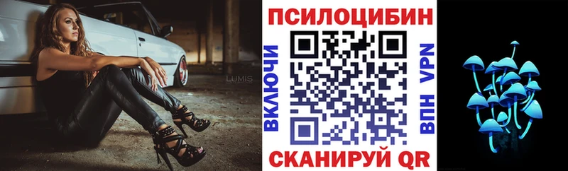 Галлюциногенные грибы прущие грибы  где купить   Владивосток 
