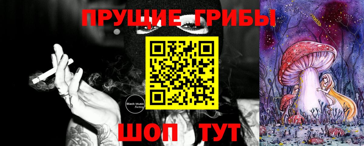 Псилоцибиновые грибы прущие грибы Владивосток