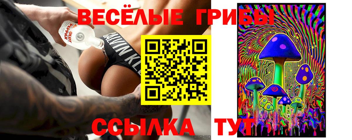 Владивосток  Псилоцибиновые грибы прущие грибы  Вход с VPN 