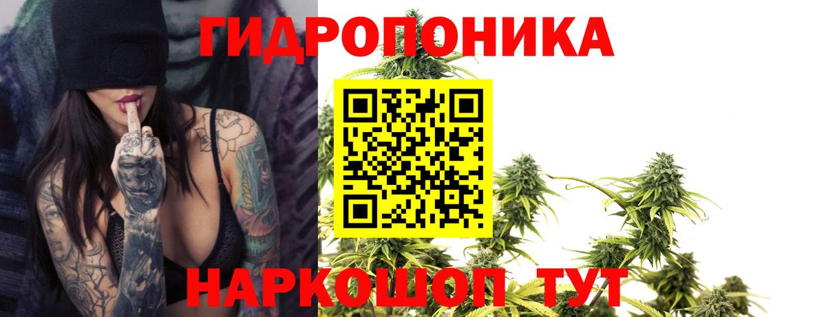 Каннабис конопля Владивосток